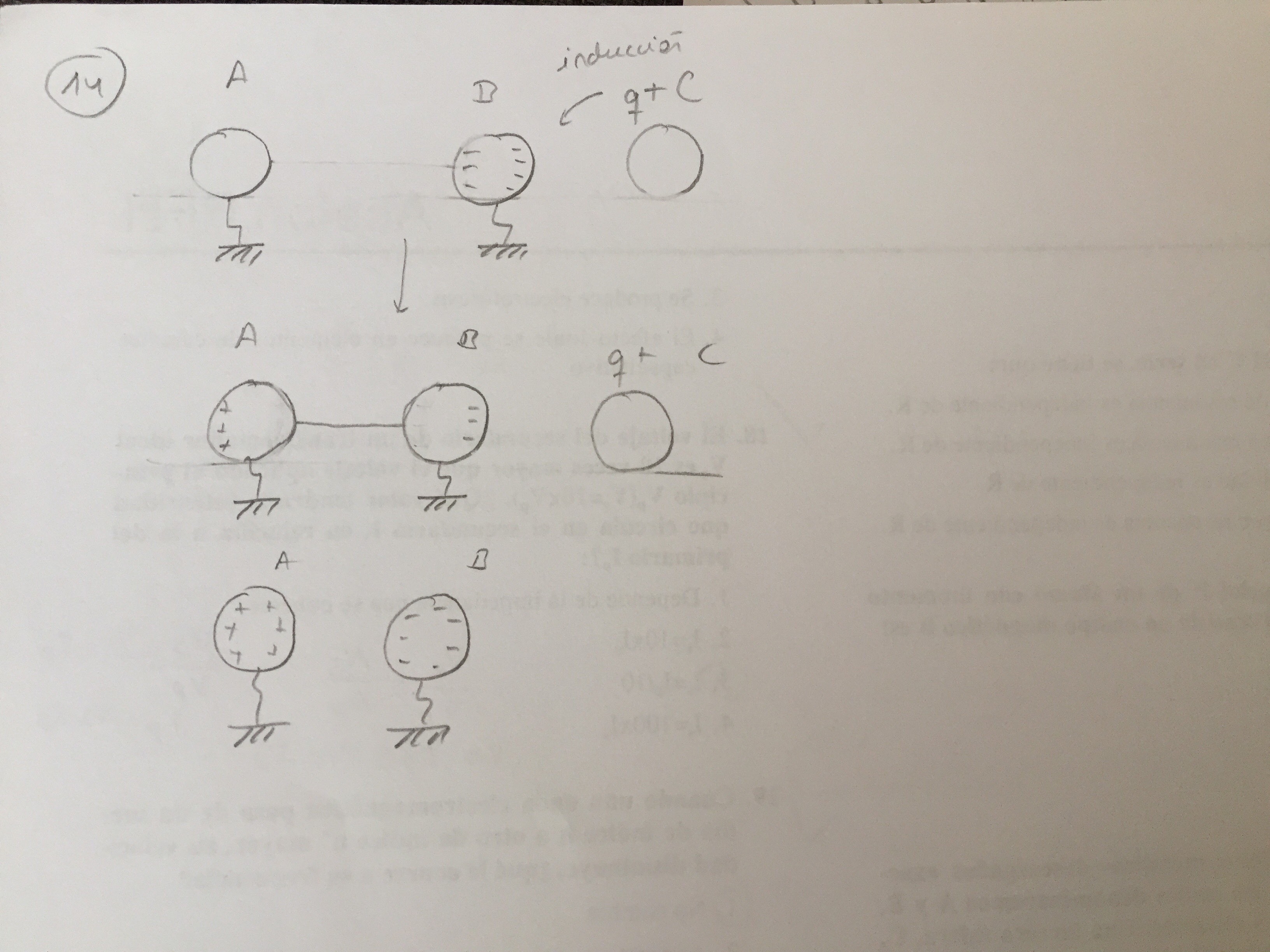 C14_EM.jpg